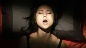 Vainilla hud