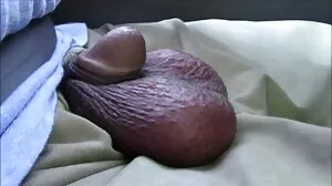 Stella flex
